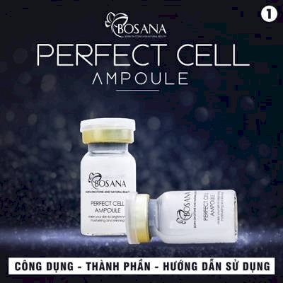 Tế bào gốc Perfect Cell
